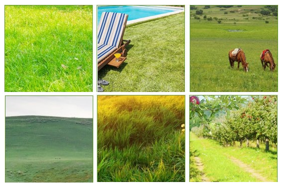 Jcx-j1 Lawn Mowers-application